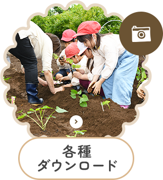 各種ダウンロード