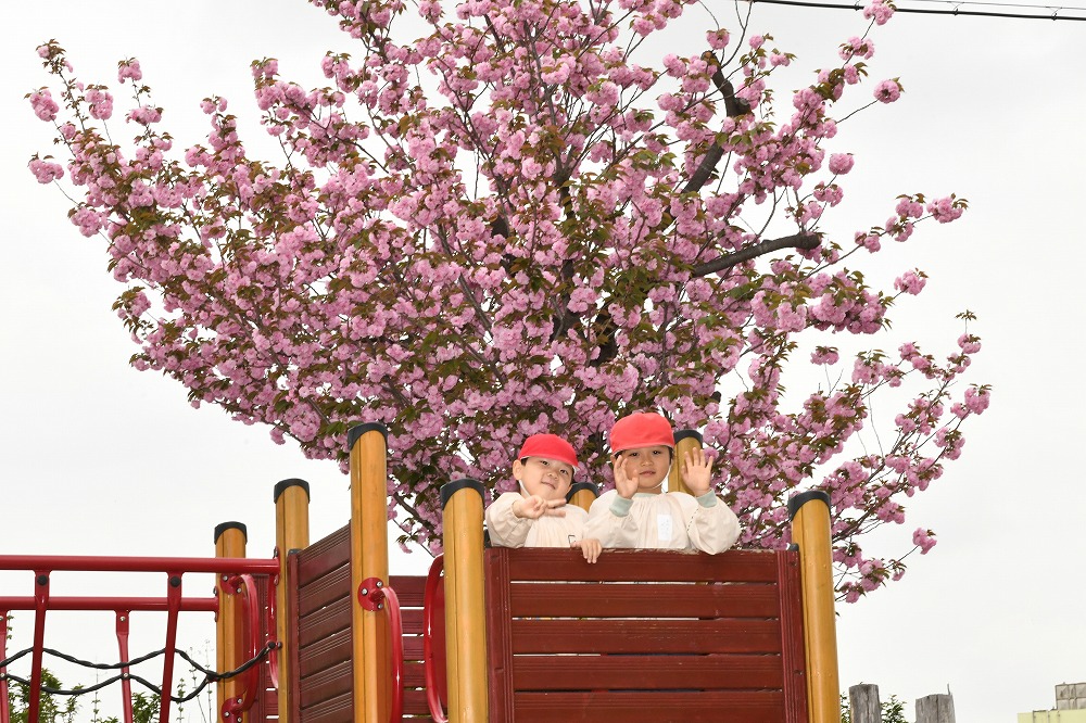 入園案内